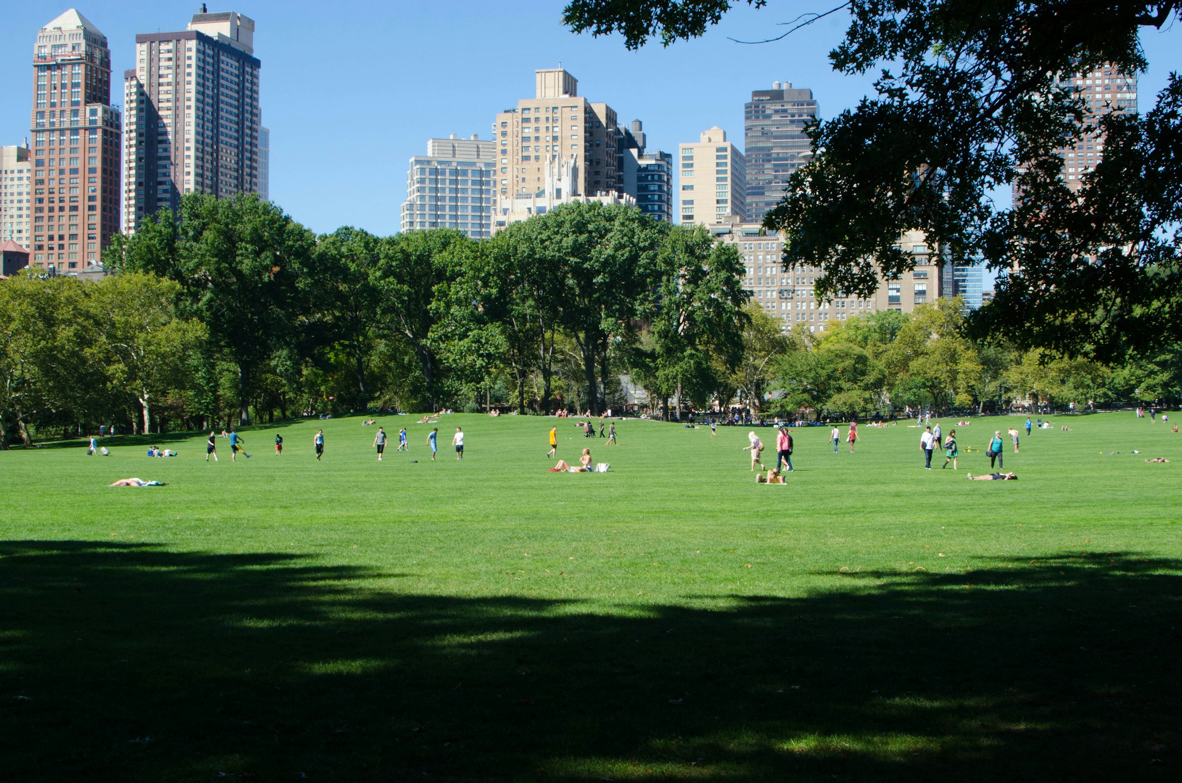 People enjoying a park.